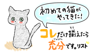 初めての猫_アイキャッチ